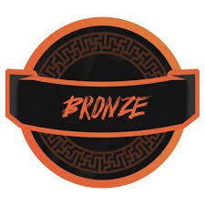 Bronze VIP